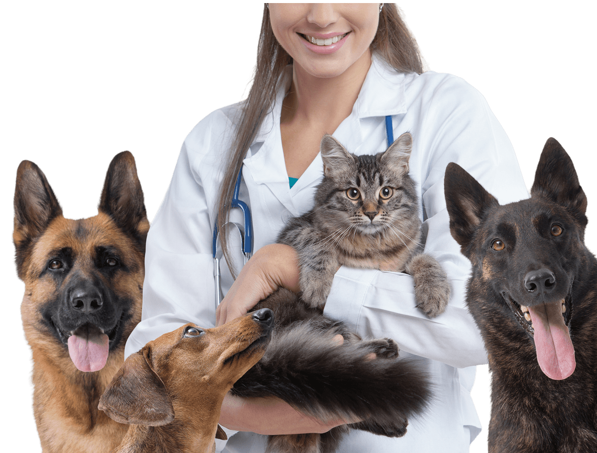 Discover the Future of Pet Care